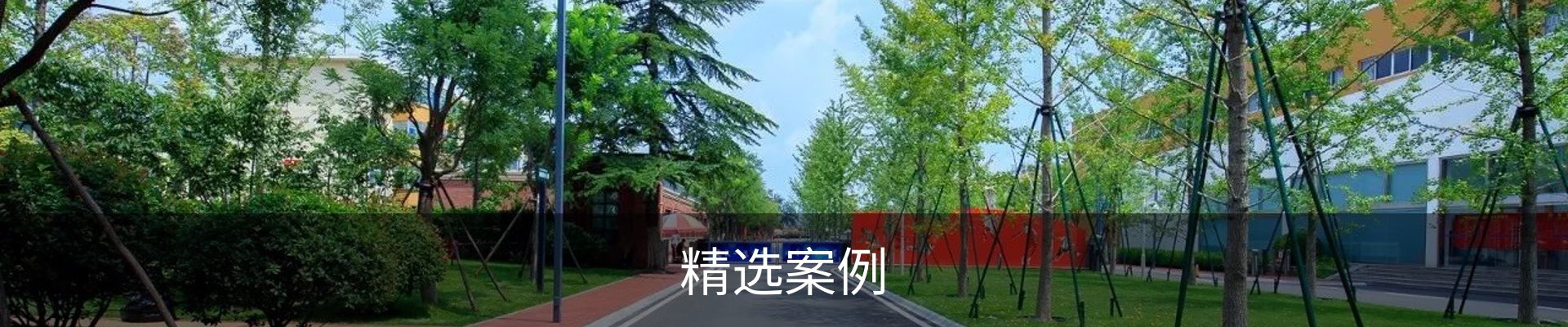 精选案例